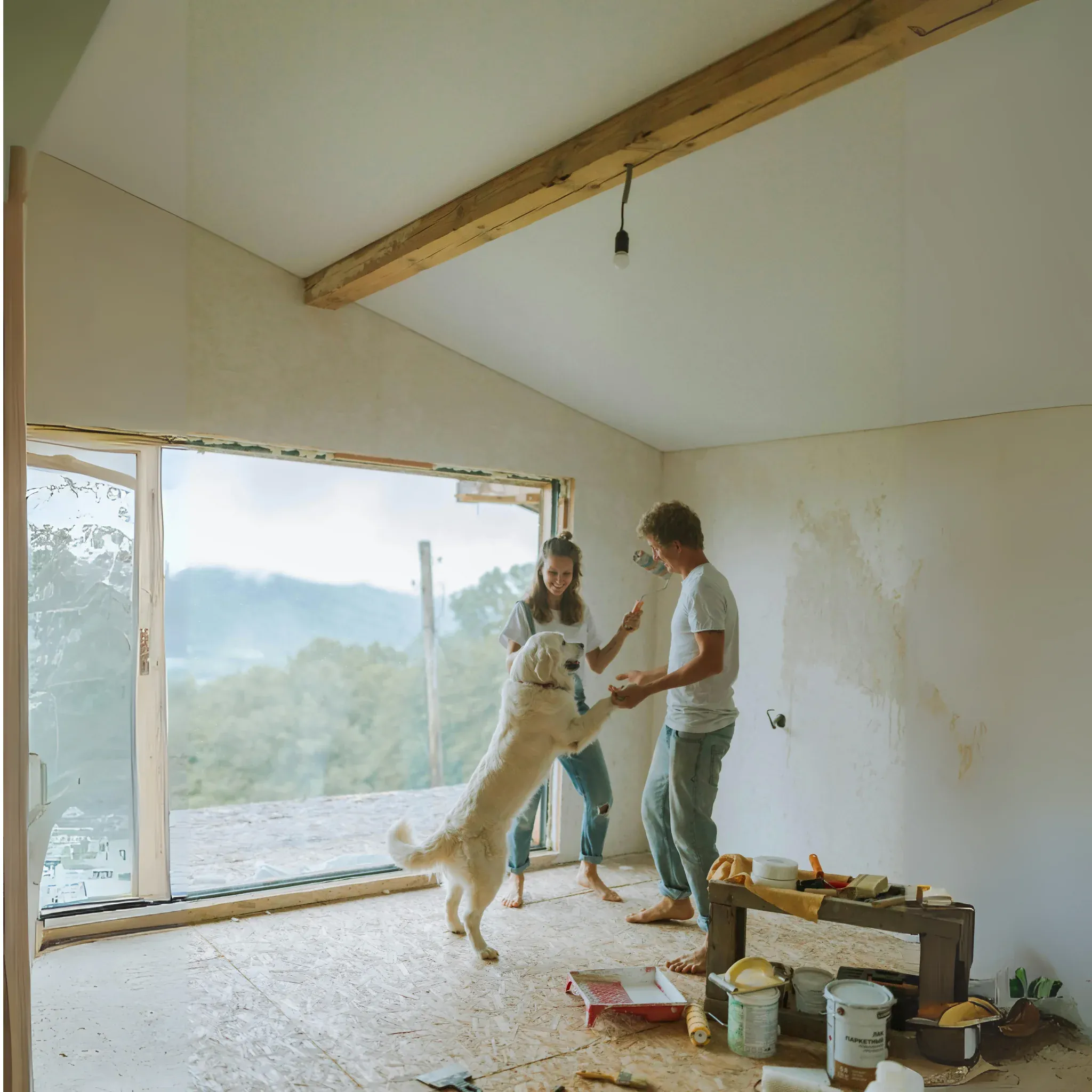 Seguro de Bina.
Protección